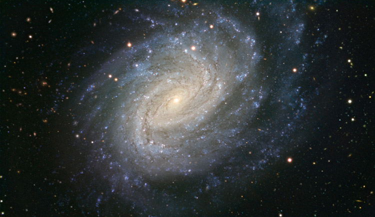 NGC 1187. Credit: Space Telescope Science Institute