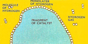 section of a fragment of metal which has adsorbed a monolayer of hydrogen on to its surface