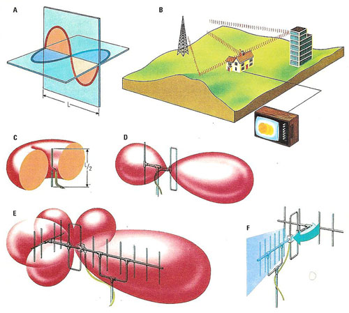 different types of antennaew