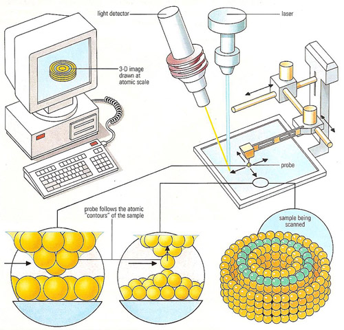 atomic force microscope