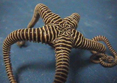 brittlestar