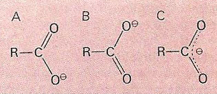 carboxykate ion resonance