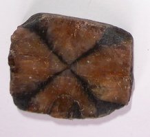 chiastolite