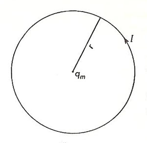 Circular current and magnetic pole