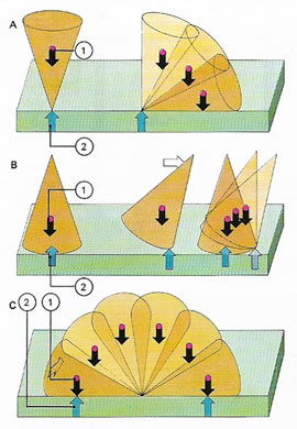 stability and instability of a cone