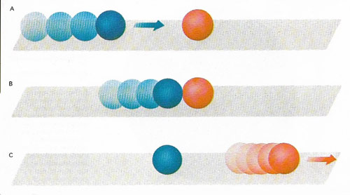 conservation of linear momentum