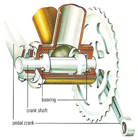 cup-and-cone bearing