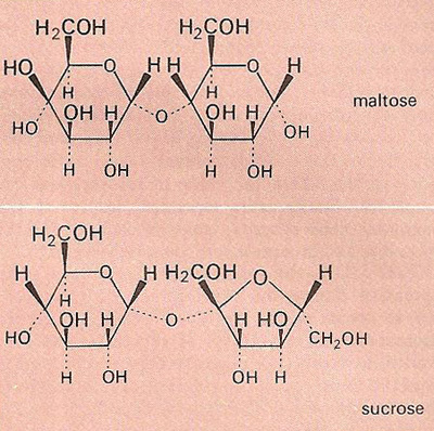 disaccharides