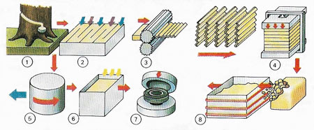 processing of plantationrubber