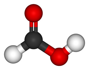 formic acid