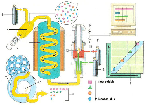 gas-liquid chromatography