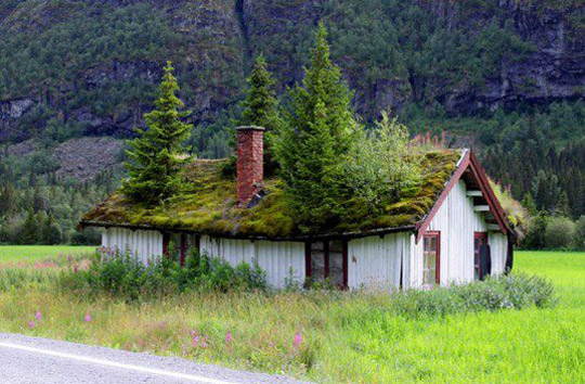 green roof in Norway