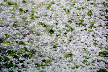 hailstones