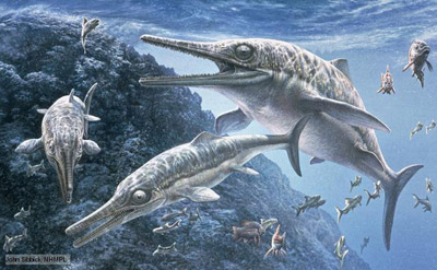 ichthyosaurs