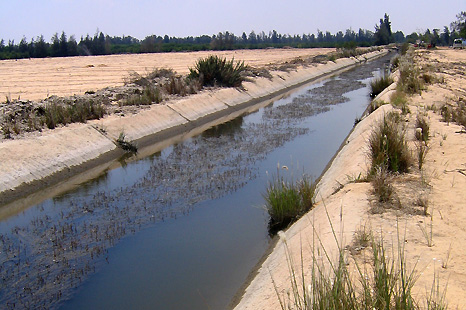 irrigation canal in Egypt