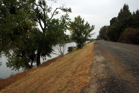 Sacramento River levee