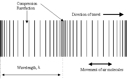 longitudinal wave