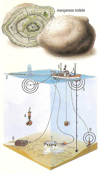 manganese nodule