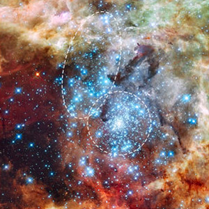 merging clusters in the Tarantula Nebula