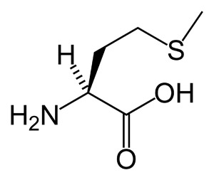 methionine