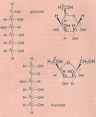 monosaccharides