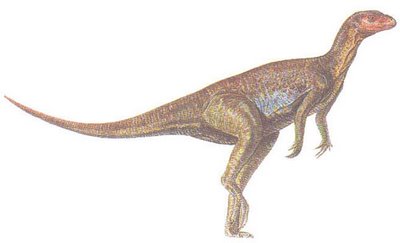ornithischian