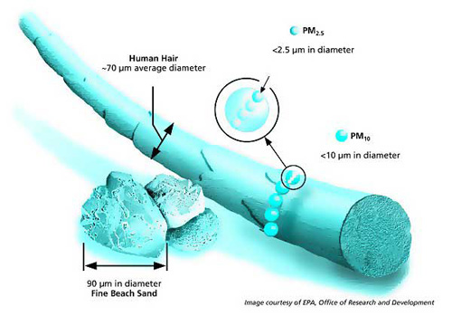 particulates