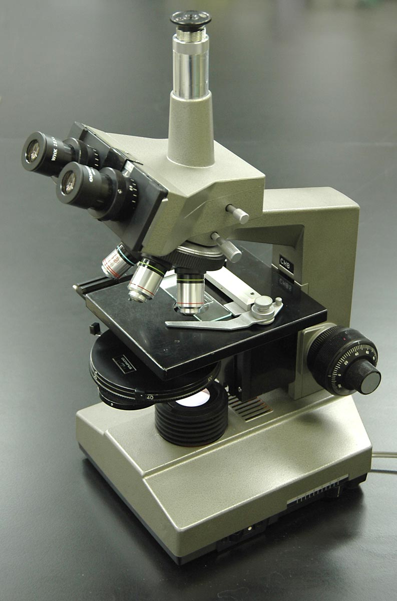 phase-contrast microscope