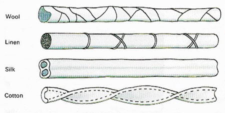 plant fibers compared