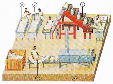 processing of plantationrubber