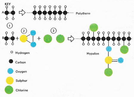 plastic and rubber molecules