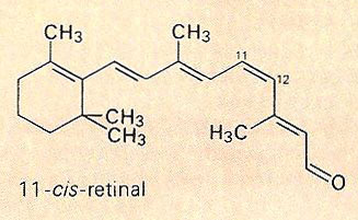 11-cis-retinal