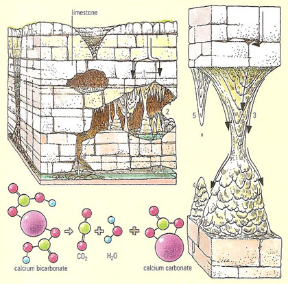 diagram of stalactites and stalagmites