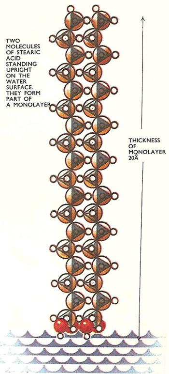 stearic acid monolayer