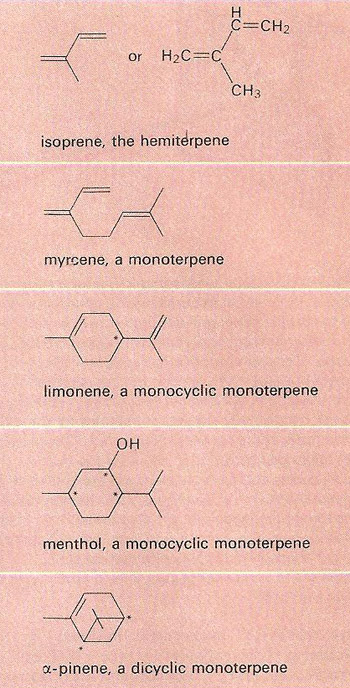 terpenes