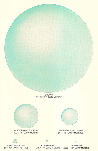 Water distribution on Earth