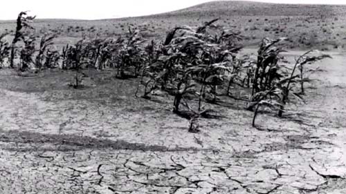 The Dust Bowl was the greatest man-made ecological disaster in the history of the United States.