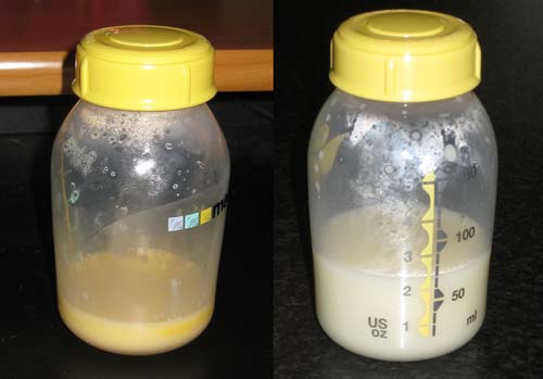 On the left is milk expressed on day 4 of lactation, and on the right is breastmilk expressed on day 8..