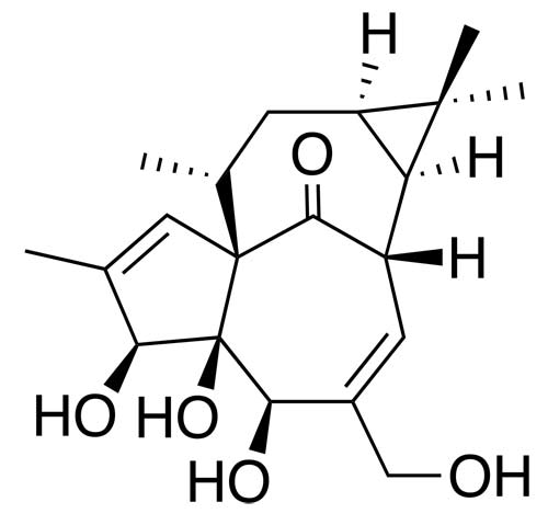 cyclic compound