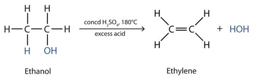 The dehydration of ethanol by hot, concentrated sulfuric acid to give ethylene (ethene).