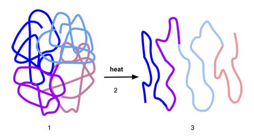 The process of denaturation.