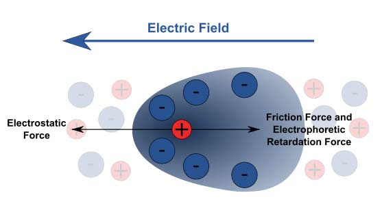 Motion by electrophoresis of a charged particle.