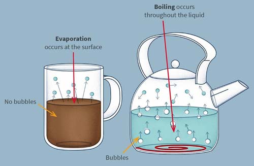 Evaporation