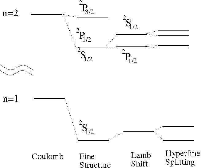 The various corrections to the energy levels of hydrogen are shown schematically. The gap between the n = 1 and 
n = 2 shells is supressed, and the Lamb and hyperﬁne shifts are exaggerated in comparison with the ﬁne-structure.