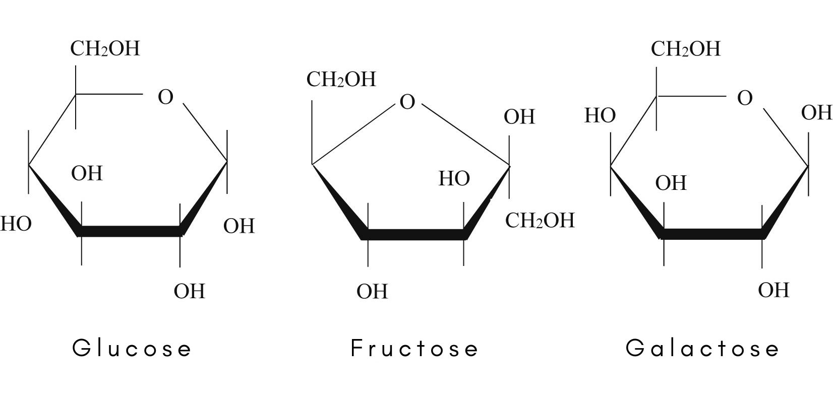 Comparison of the molecular structures of glucose, fructose, and galactose.
