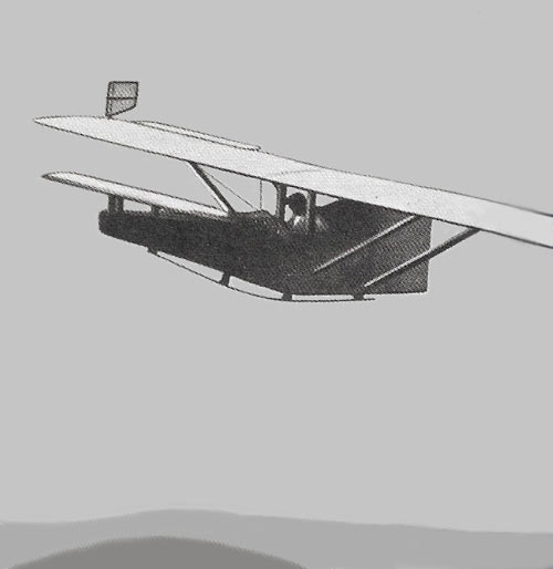 Ente rocket-owered plane