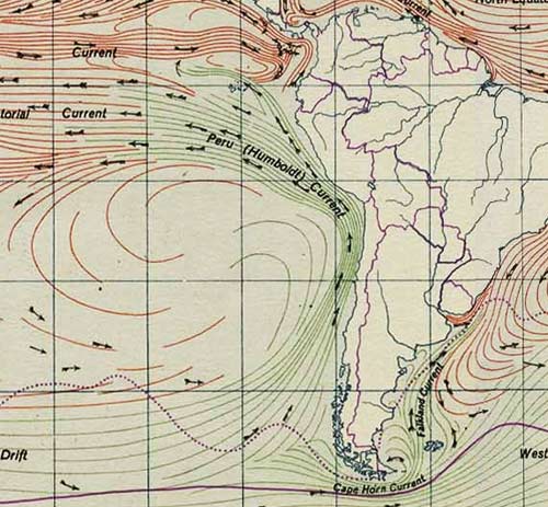 The Humboldt current