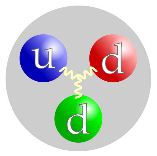 The wavy lines connecting the up quark (u) and down quarks (d) inside a neutron represent gluons.