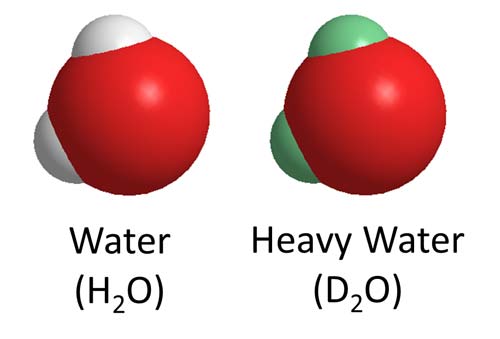 Heavy water differs from regular water only in that the H atoms (white) in water are replaced by deuterium (green) in heavy water. The oxygen atoms are shown in red.