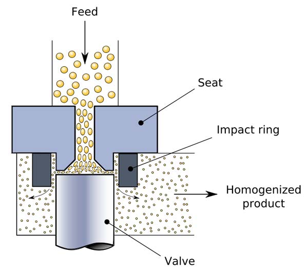 A homogenizing valve, a method to homogenize at high pressure.